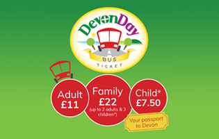 Bus Services Taunton